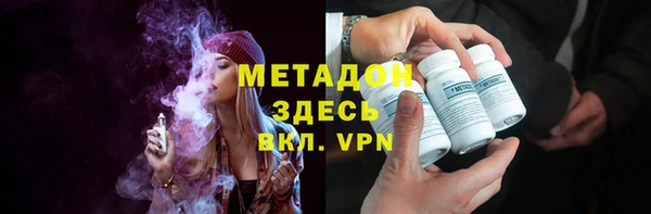 прущие грибы Алексеевка