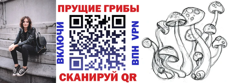 Галлюциногенные грибы Cubensis Ликино-Дулёво